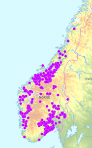 Innmeldte skademeldinger etter Amy pr 24.11.25