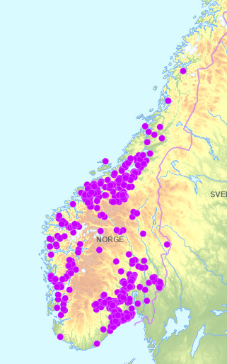 Innmeldte skademeldinger etter Amy pr 24.11.25